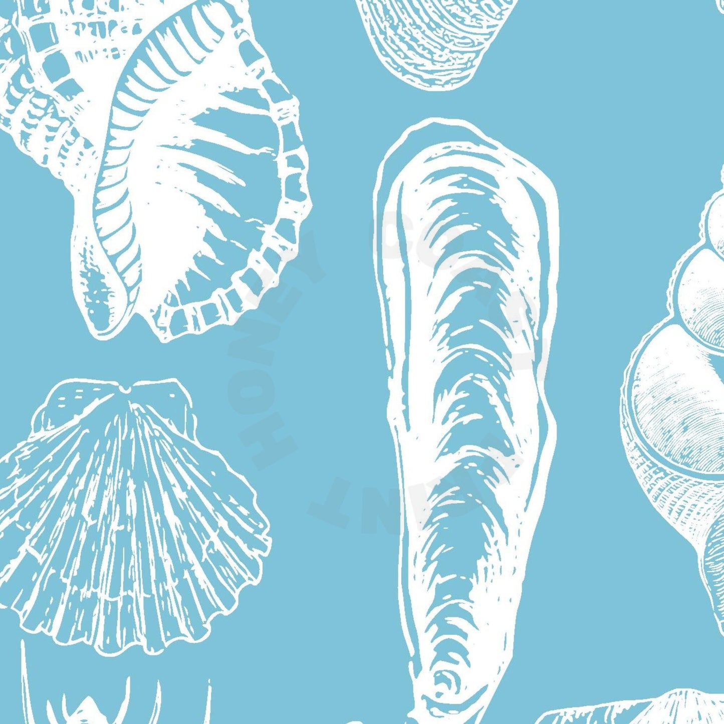 Surf Blue Seashells Digital Prints