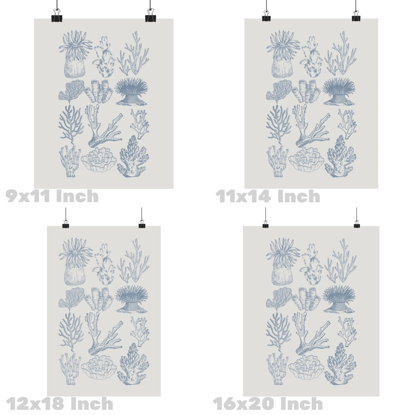 Coastal Blue Corals Poster
