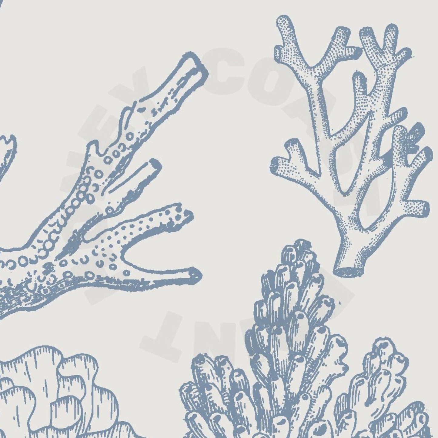 Coastal Blue Corals Poster