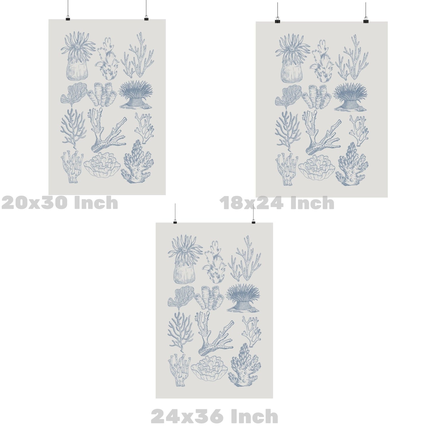 Coastal Blue Corals Poster