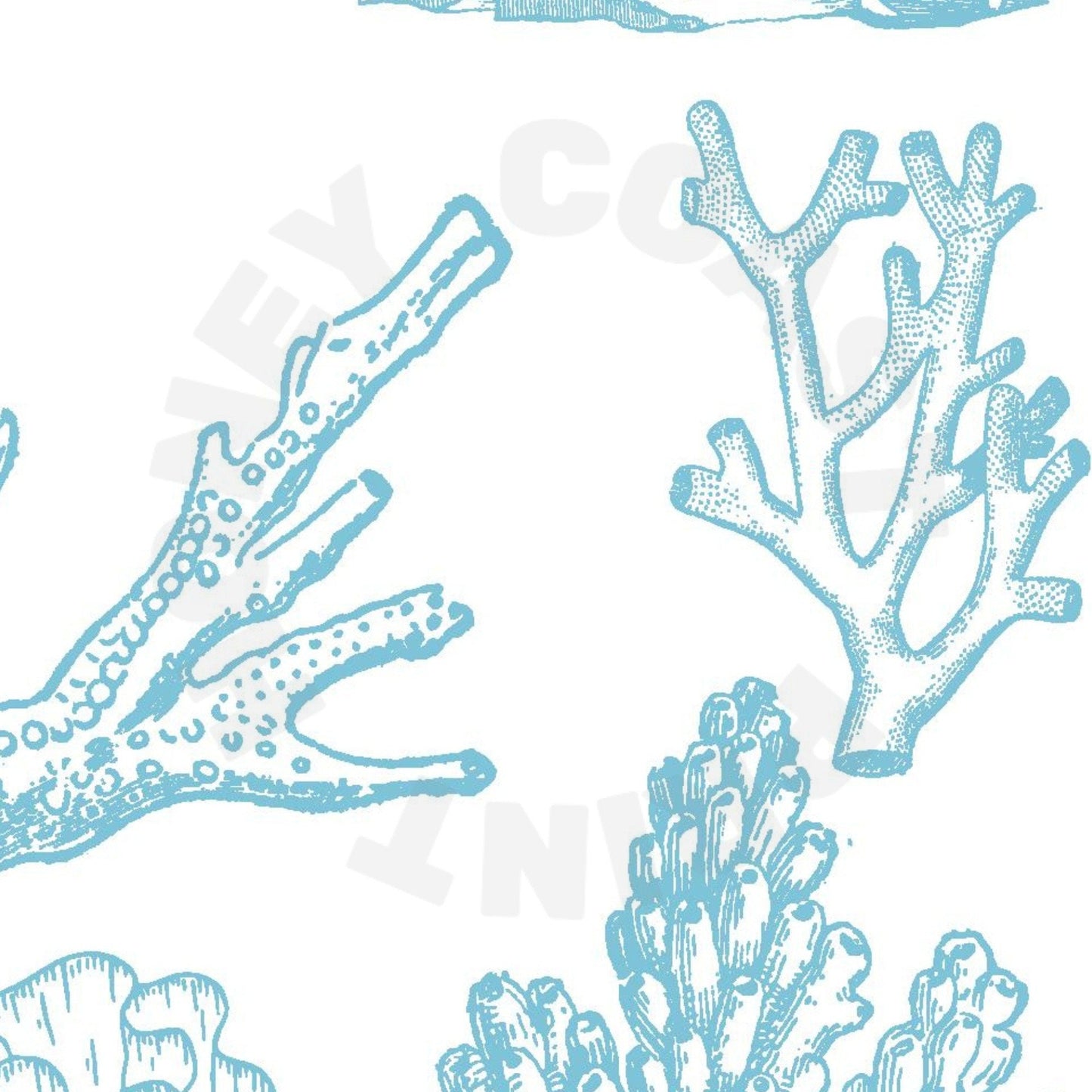 Surf Blue Corals Poster