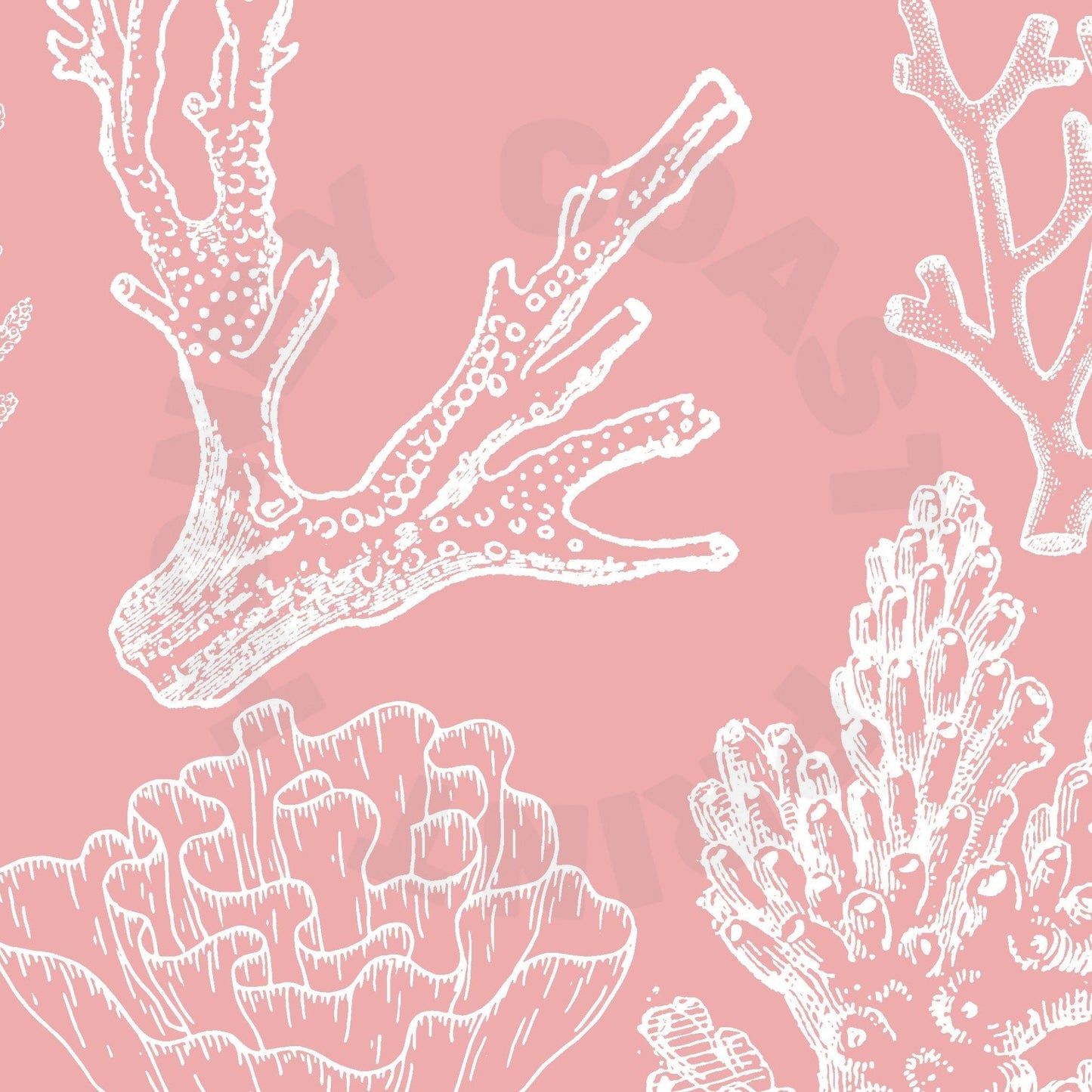 Pink Corals Poster