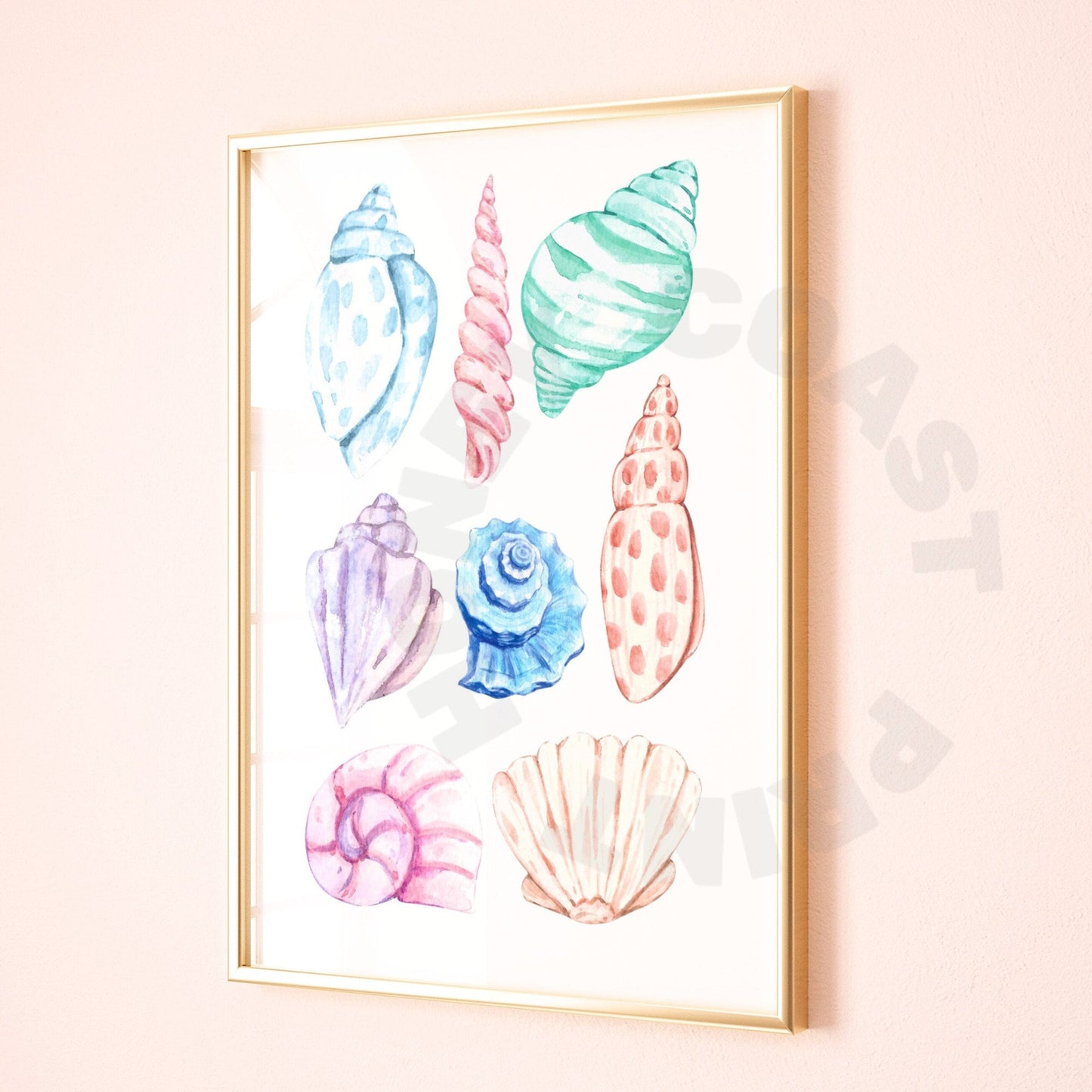 Pastel Seashells Digital Prints