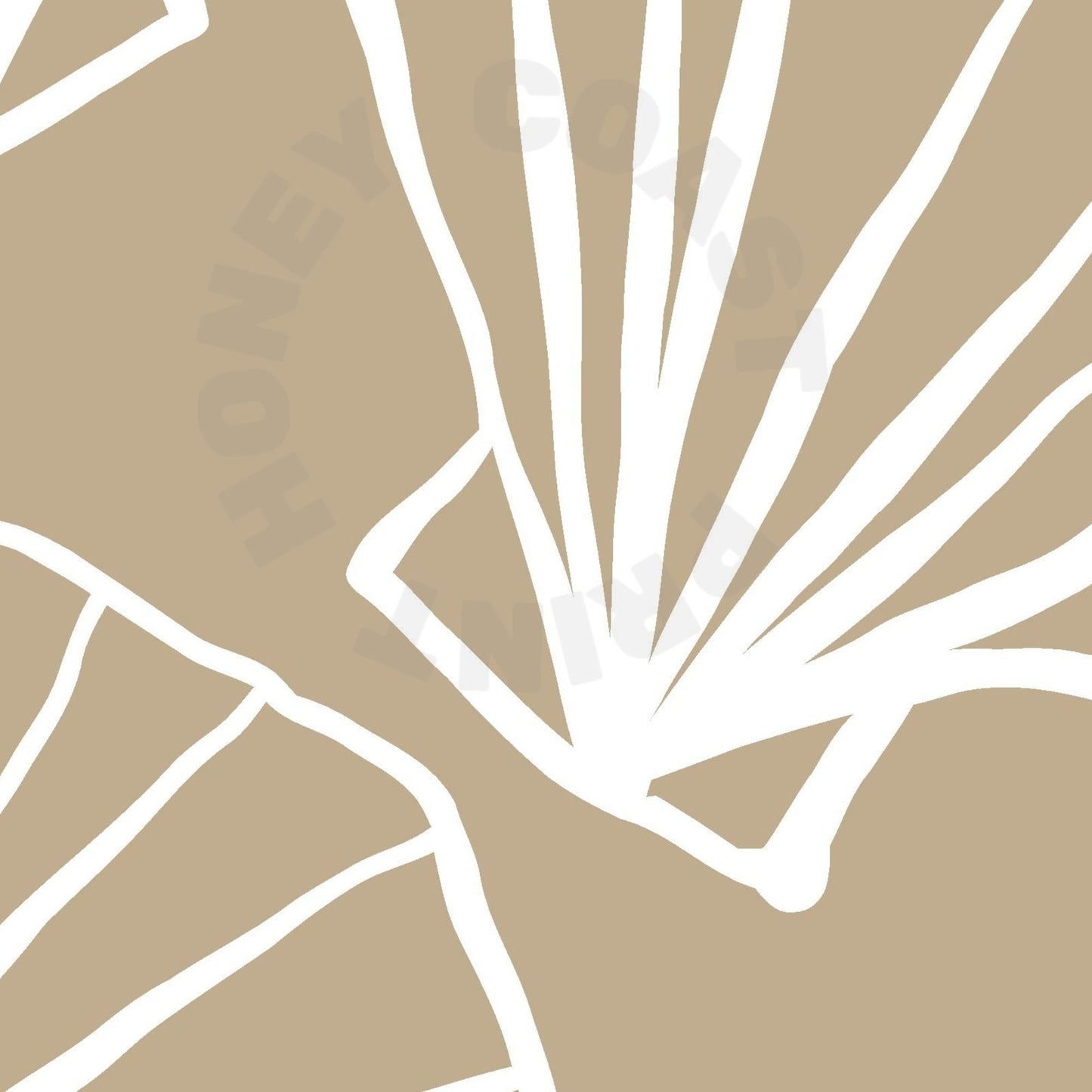 Beige Hand Drawn Seashells Poster