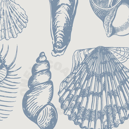 Coastal Blue Seashells Digital Prints