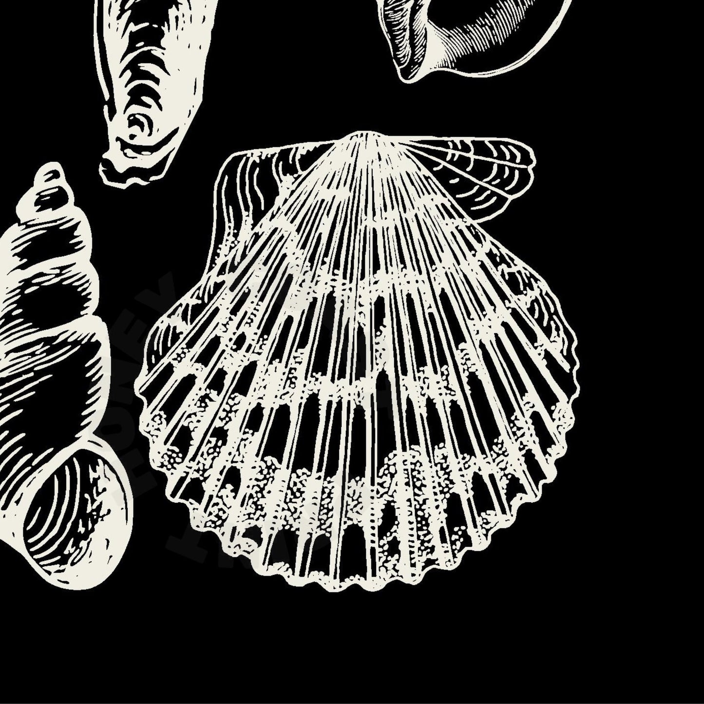 Monotone Seashells Digital Prints