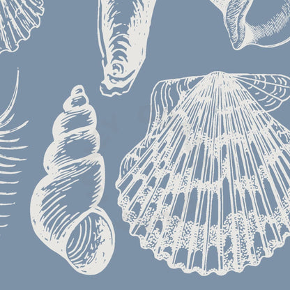 Coastal Blue Seashells Poster