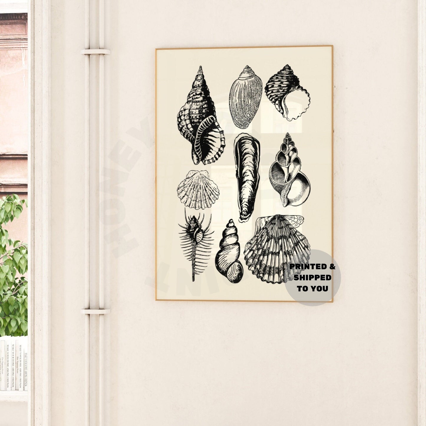 Monotone Seashells Poster