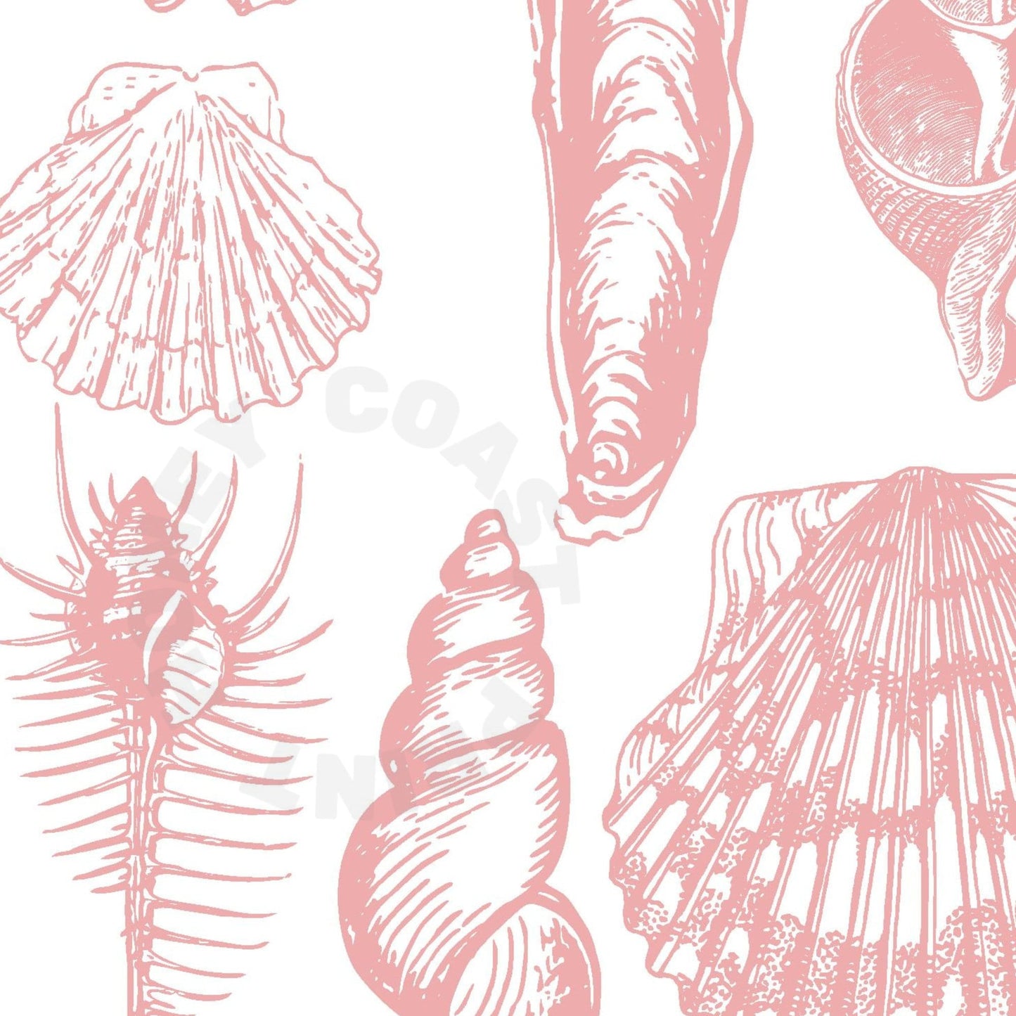 Pink Seashells Poster