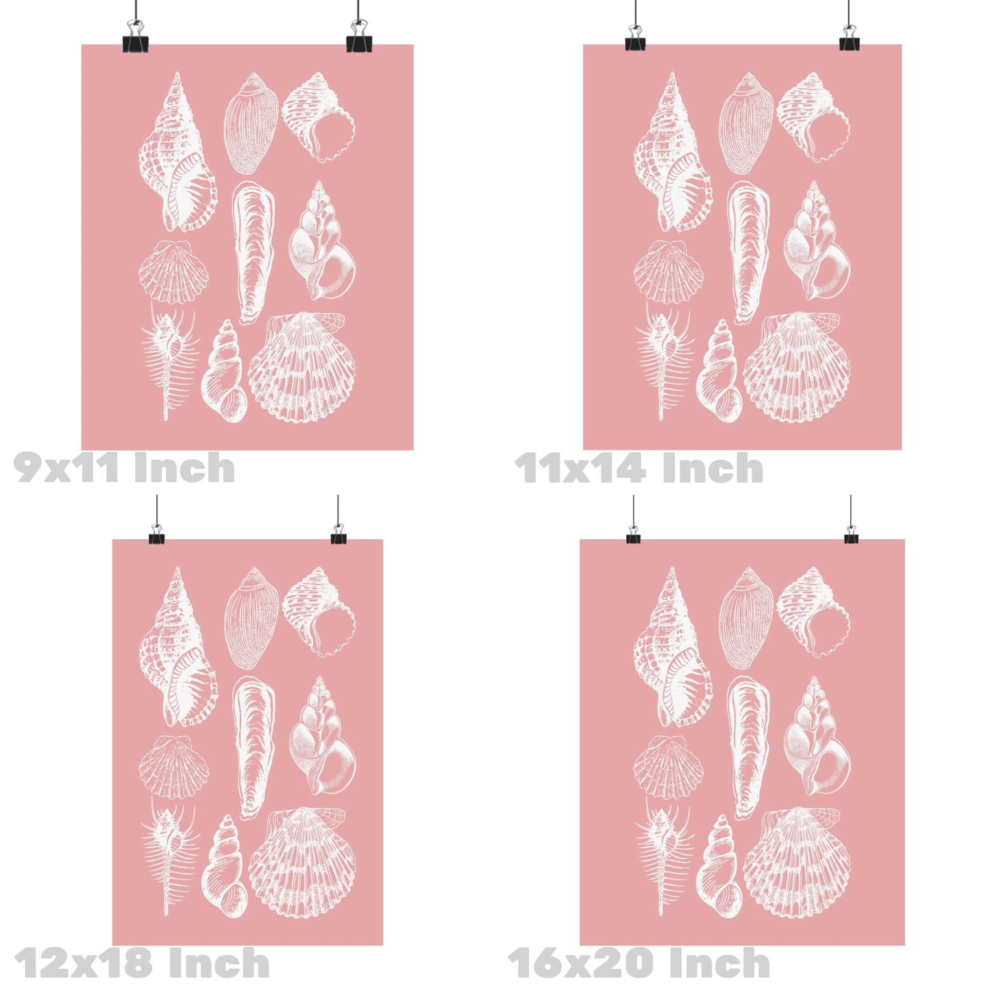 Pink Seashells Poster