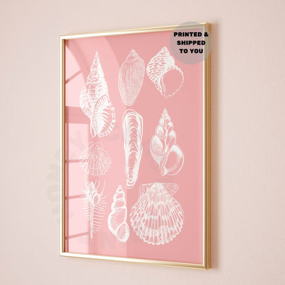 Pink Seashells Poster