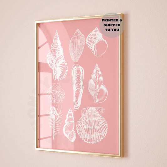 Pink Seashells Poster