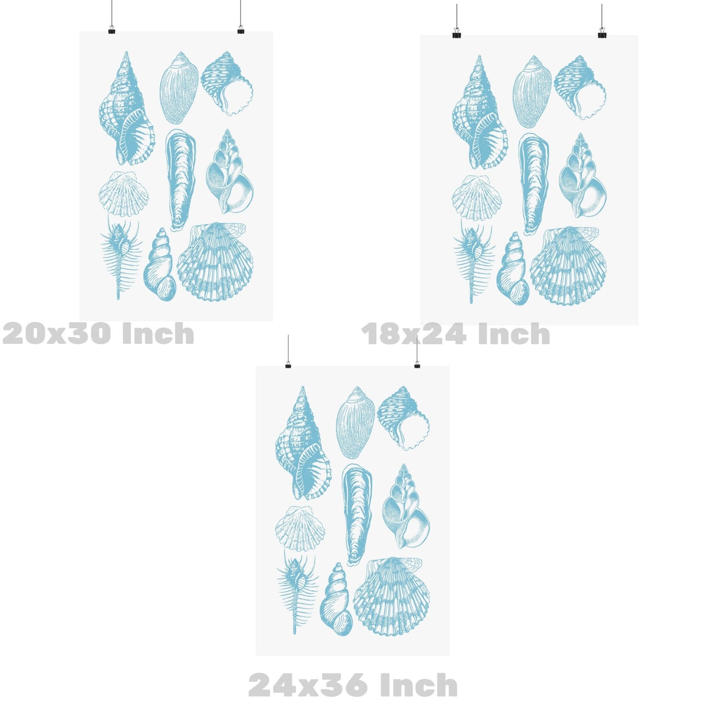 Surf Blue Seashells Poster