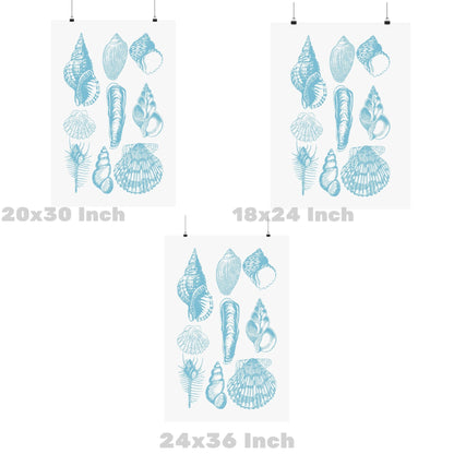 Surf Blue Seashells Poster