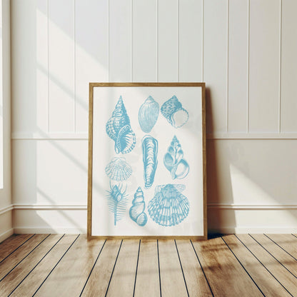 Surf Blue Seashells Poster