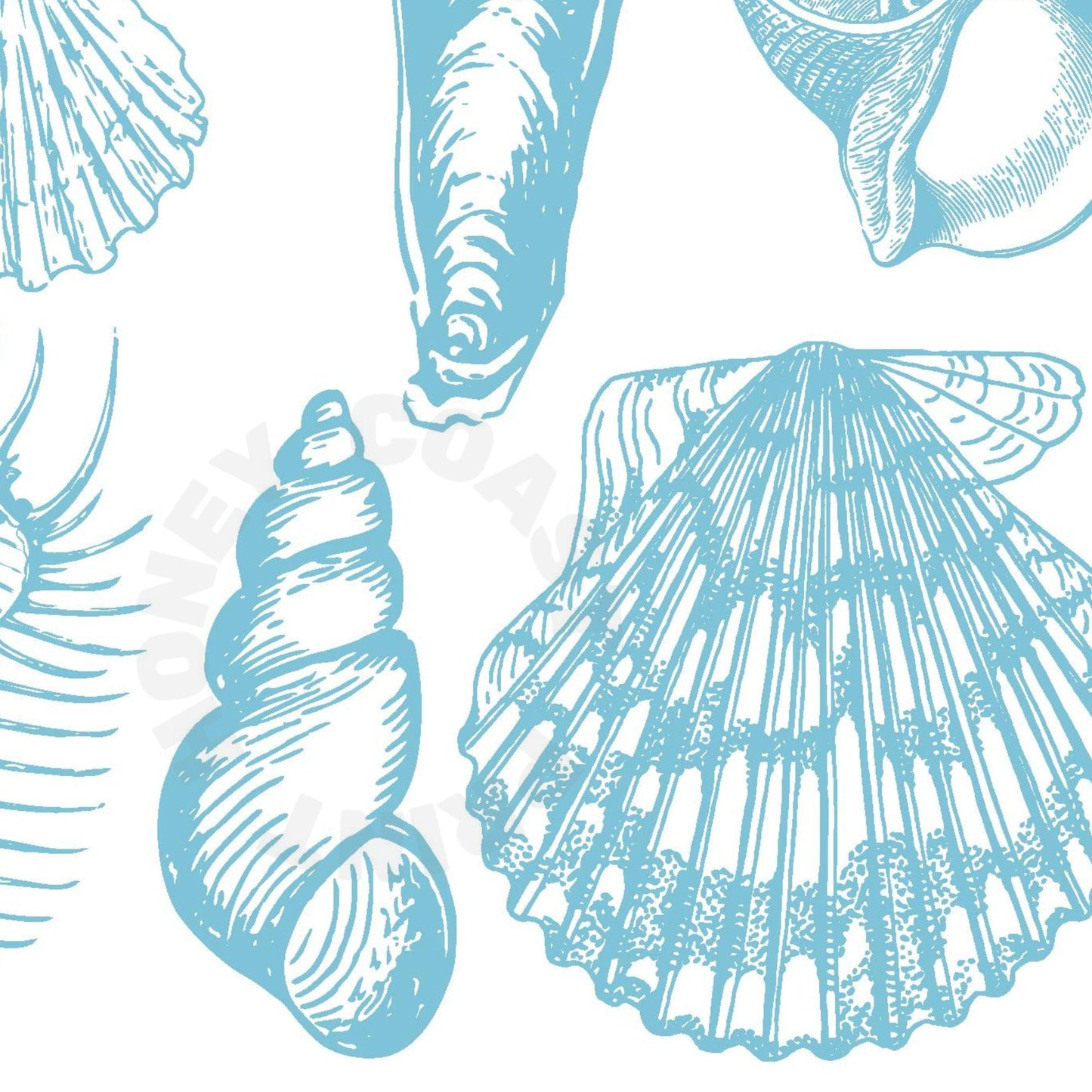 Surf Blue Seashells Poster