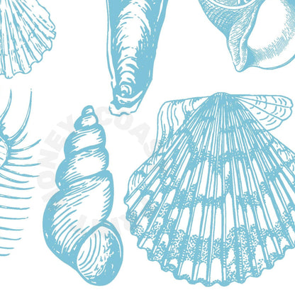 Surf Blue Seashells Poster