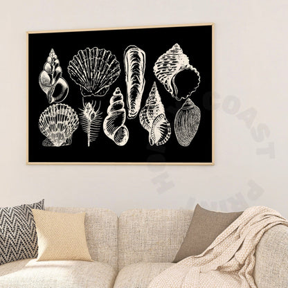 Landscape Monotone Seashells Digital Prints