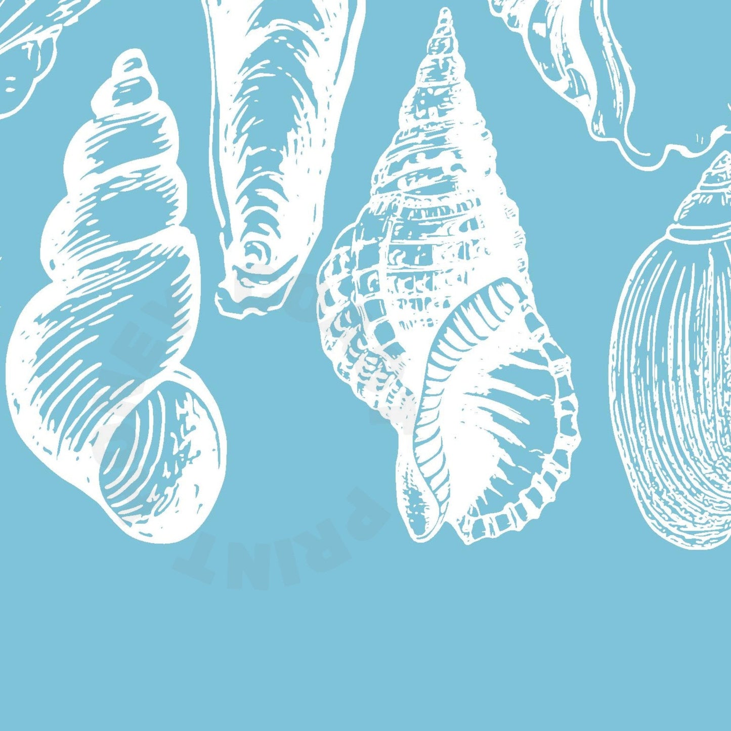 Landscape Surf Blue Seashells Digital Prints
