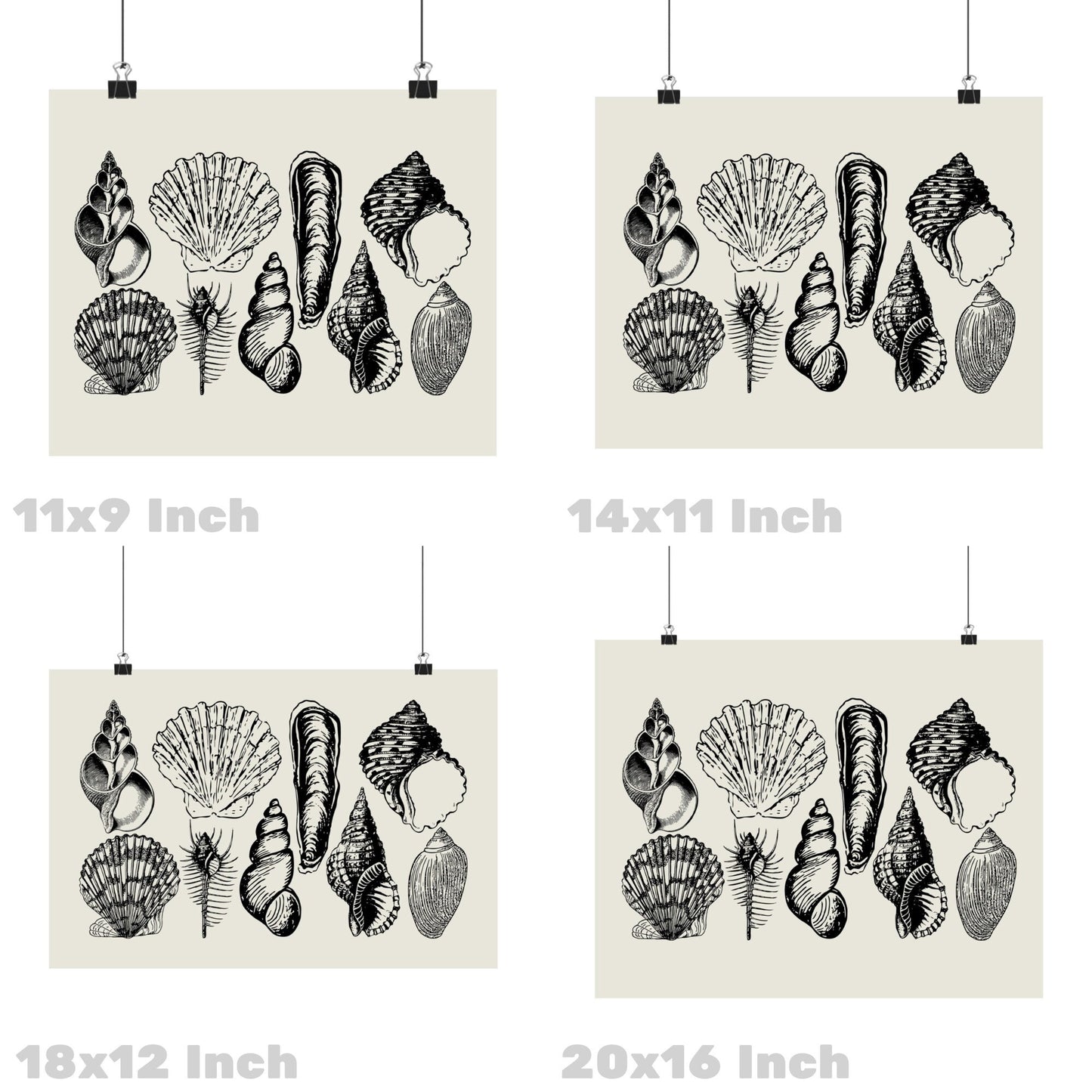 Landscape Monotone Seashells Poster