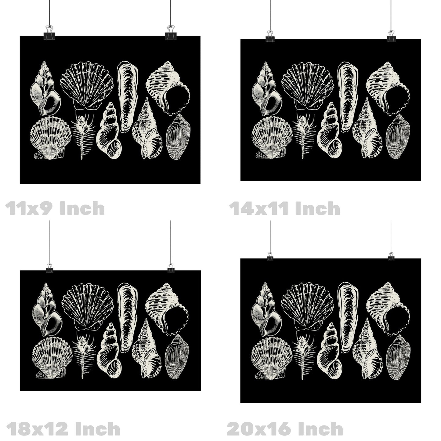 Landscape Monotone Seashells Poster