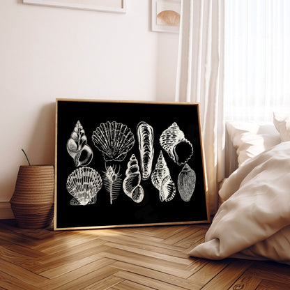 Landscape Monotone Seashells Poster