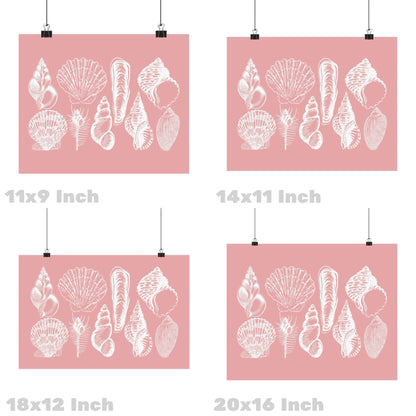 Landscape Pink Seashells Poster