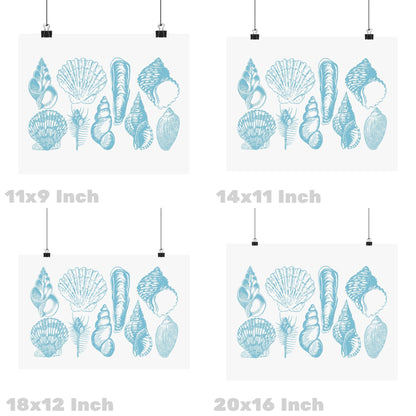 Landscape Surf Blue Seashells Poster