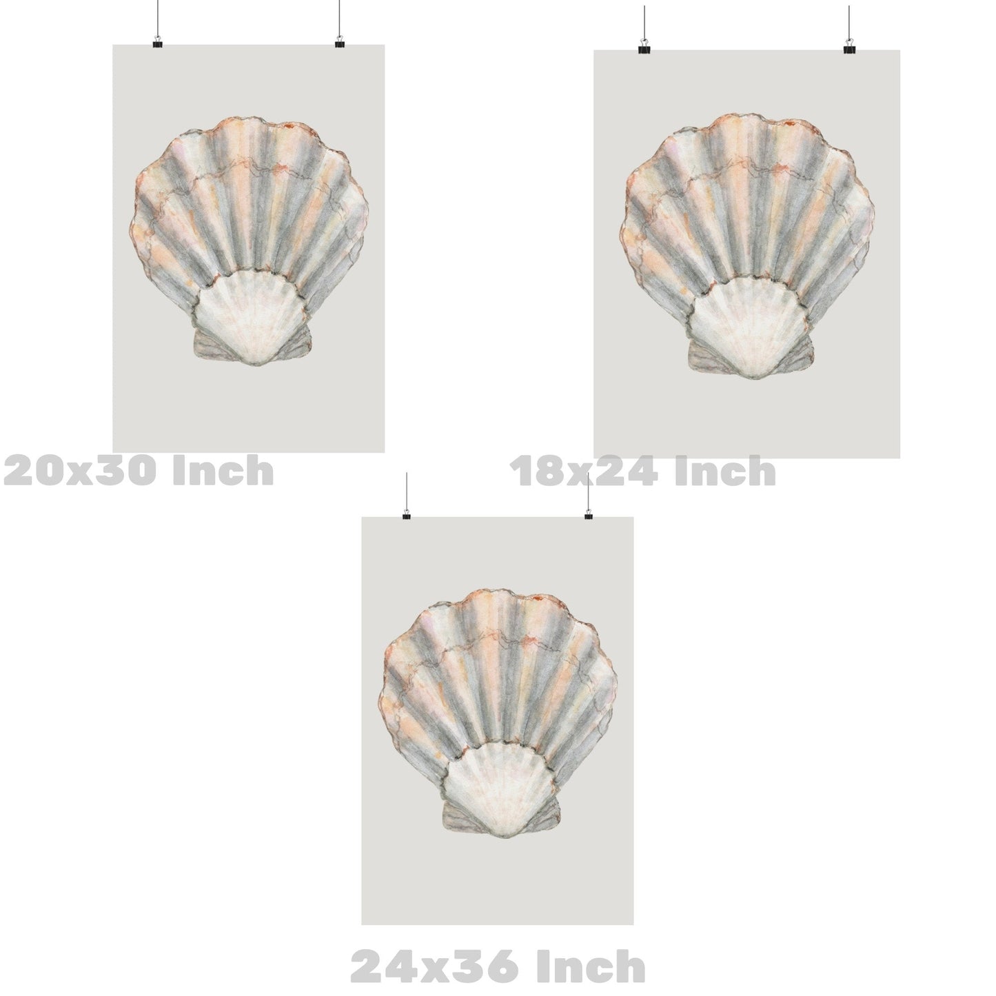 Rustic Seashell Poster