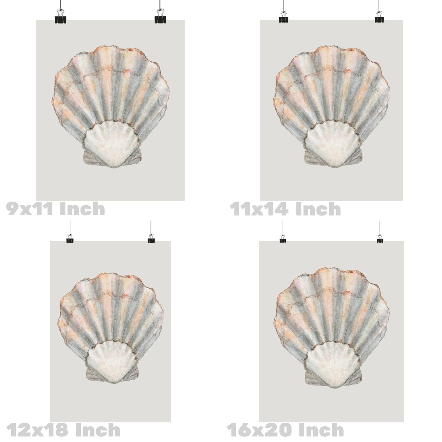 Rustic Seashell Poster