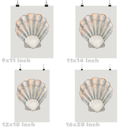 Rustic Seashell Poster