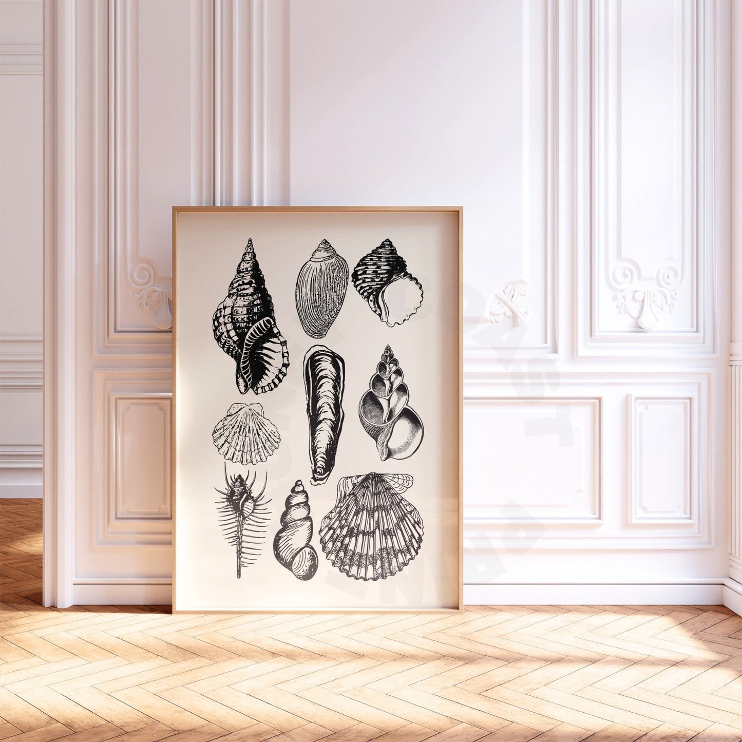 Monotone Seashells Digital Prints