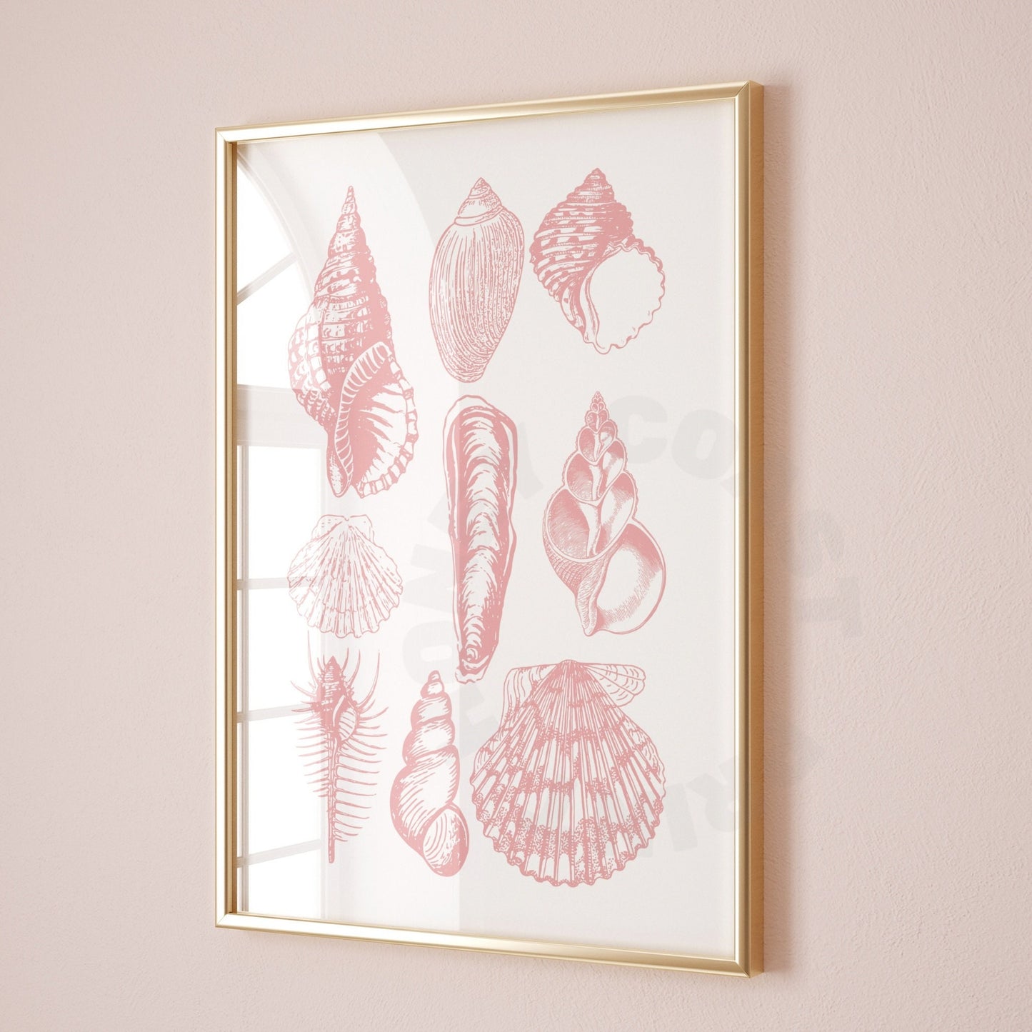 Pink Seashells Digital Prints