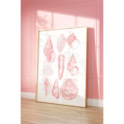 Pink Seashells Digital Prints