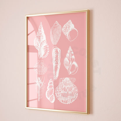 Pink Seashells Digital Prints