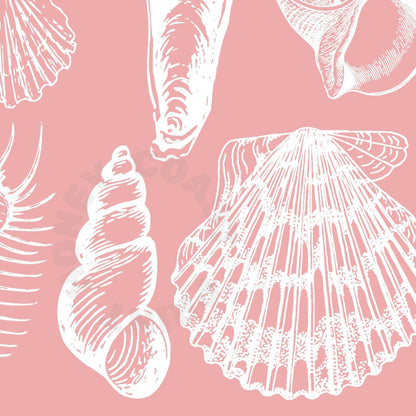 Pink Seashells Digital Prints