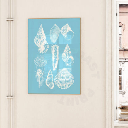 Surf  Blue Seashells Digital Prints