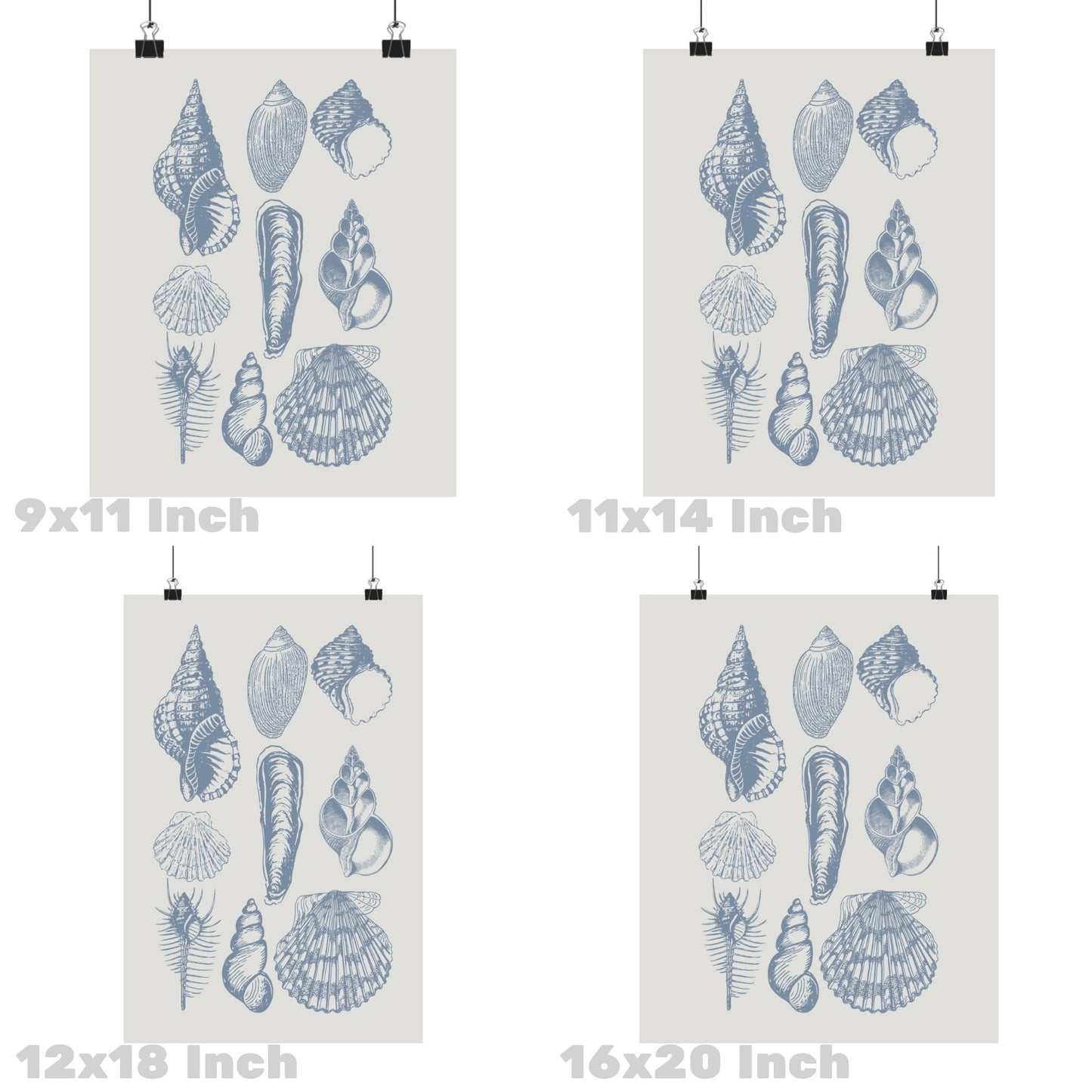 Coastal Blue Seashells Poster