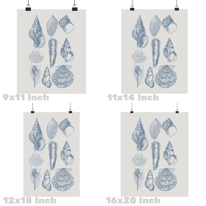 Coastal Blue Seashells Poster