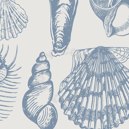 Coastal Blue Seashells Poster