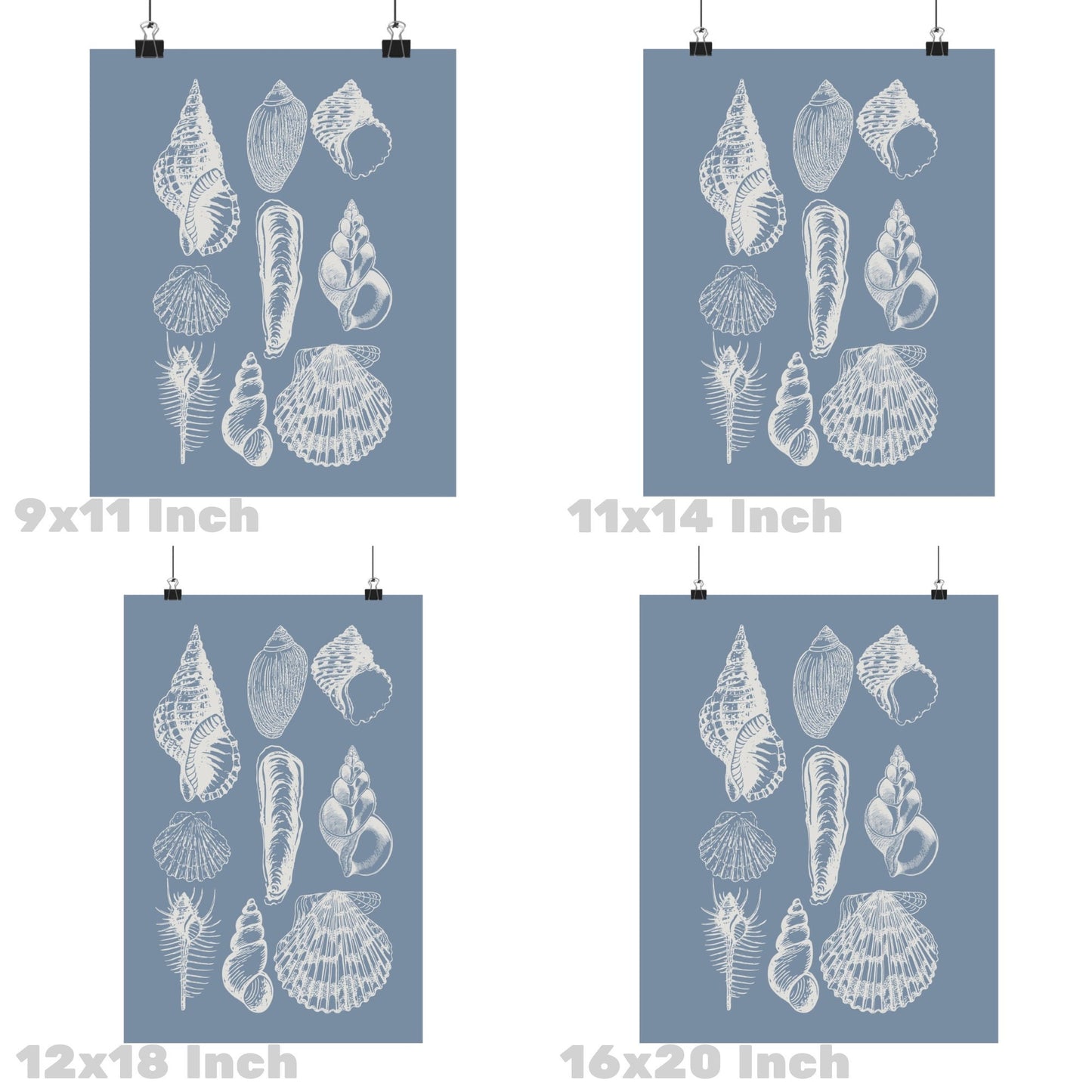 Coastal Blue Seashells Poster