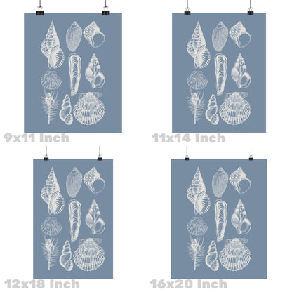 Coastal Blue Seashells Poster