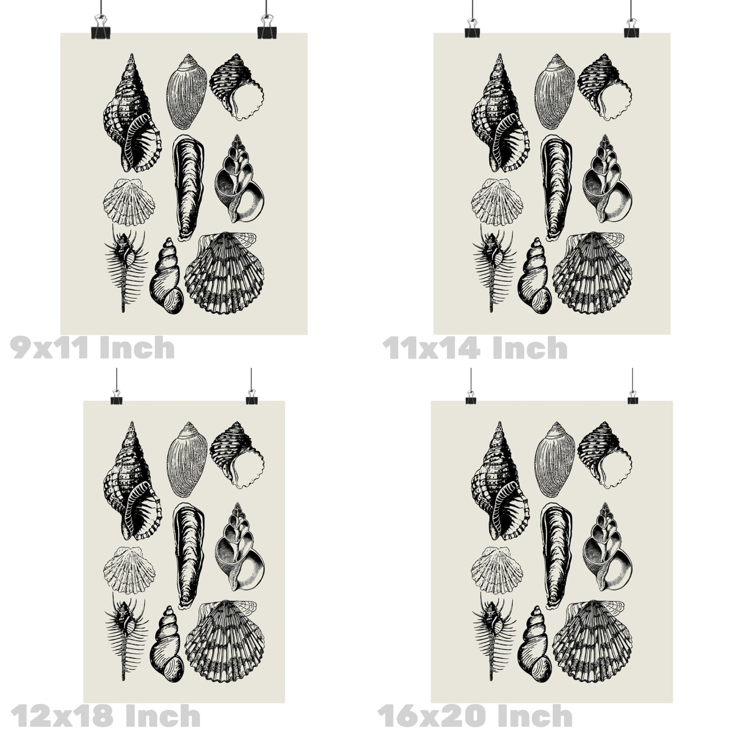 Monotone Seashells Poster