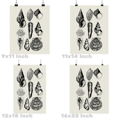 Monotone Seashells Poster