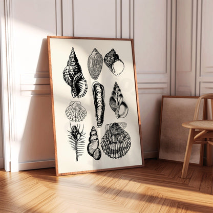 Monotone Seashells Poster