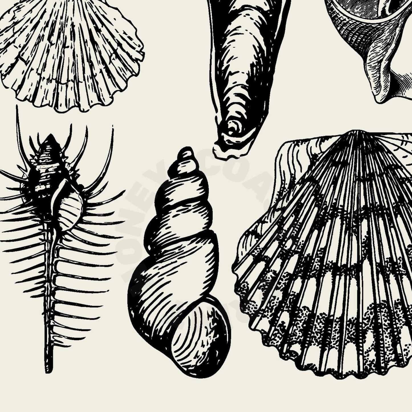 Monotone Seashells Poster