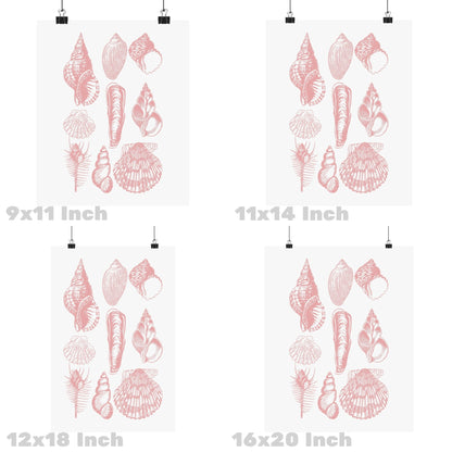 Pink Seashells Poster