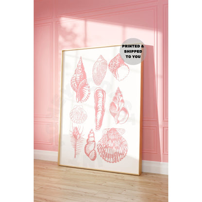 Pink Seashells Poster