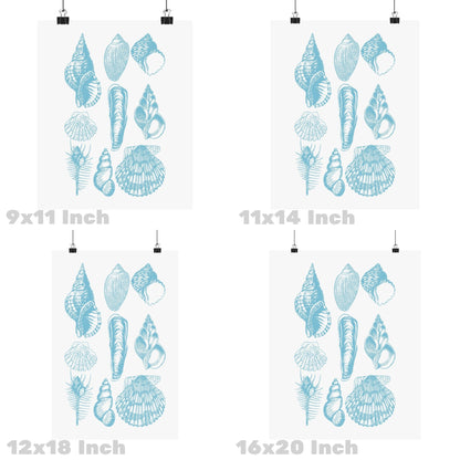 Surf Blue Seashells Poster