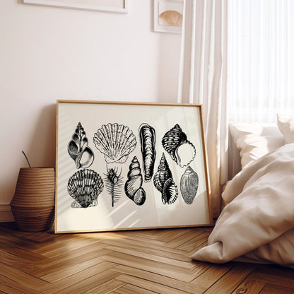 Landscape Monotone Seashells Digital Prints